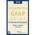 Governmental Gaap Guide 2010