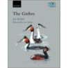 Grebes:podicipedidae Bfw:c C door Jon Fjeldsa