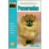 Guide to Owning a Pomeranian