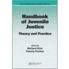 Handbook of Juvenile Justice door Preston Pamela