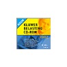 Kluwer Belasting