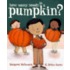 How Many Seeds in a Pumpkin?