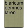 Blaricum Eemnes laren door Onbekend