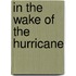 In The Wake Of The Hurricane