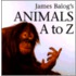 James Balog's Animals A to Z