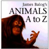 James Balog's Animals A to Z door James Balog