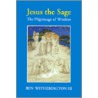 Jesus the Sage Paper Edition door Iii Witherington Ben