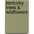 Kentucky Trees & Wildflowers