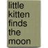 Little Kitten Finds the Moon