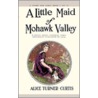 Little Maid of Mohawk Valley door Alice Turner Curtis