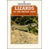 Lizards Of The British Isles