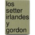 Los Setter Irlandes y Gordon
