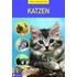 Meine Lieblingstiere. Katzen