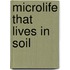 Microlife That Lives In Soil