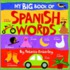 My Big Book Of Spanish Words