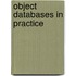 Object Databases In Practice