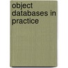 Object Databases In Practice door Hewlett-Packard Professional Books