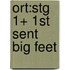 Ort:stg 1+ 1st Sent Big Feet