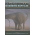 Patagonian Mesozoic Reptiles