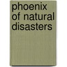 Phoenix Of Natural Disasters door Kathryn Gow