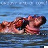 Groovy kind of love!