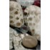Polishing The Petoskey Stone