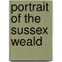 Portrait Of The Sussex Weald
