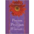 Prayers & Promises for Women