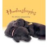 Hondenslaapjes