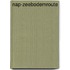 NAP-Zeebodemroute