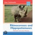 Rhinoceroses And Hippopotami