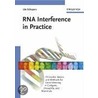 Rna Interference In Practice door Ute Schepers