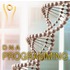 DNA Programming