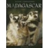 Safari Companions Madagascar