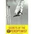 Secrets of the Superoptimist