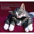 Kattendutjes