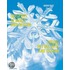 Skisport in Kunst und Design