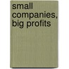 Small Companies, Big Profits door Rodney Hobson