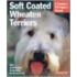 Soft-Coated Wheaten Terriers