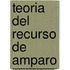 Teoria del Recurso de Amparo