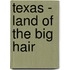 Texas - Land of the Big Hair