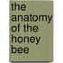 The Anatomy Of The Honey Bee