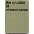 The Crucible Of Circumstance