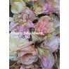 Marc Mulder Cardbox