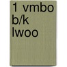 1 Vmbo B/K Lwoo door Onbekend