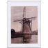 Molen en molenaar in familienamen
