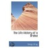 The Life-History Of A Brahui