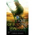 The Light Of Burning Shadows