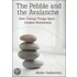The Pebble and the Avalanche