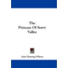 The Princess of Sorry Valley by John Fleming Wilson